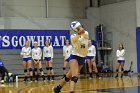 Volleyball vs Emerson  Wheaton College Women's Volleyball vs Emerson College. - Photo by Keith Nordstrom : Wheaton, Volleyball, VB2019